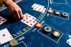 Live Sic Bo dealer at bimbotogel login studio preparing dice for a roll